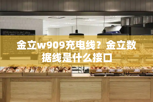 金立w909充电线？金立数据线是什么接口