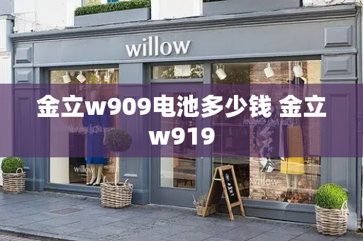 金立w909电池多少钱 金立w919