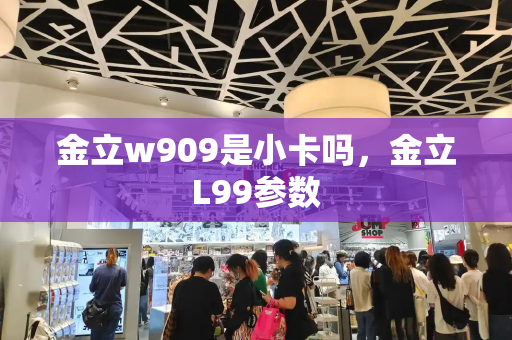 金立w909是小卡吗，金立L99参数-第1张图片-星选测评