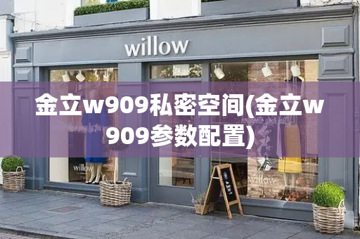 金立w909私密空间(金立w909参数配置)