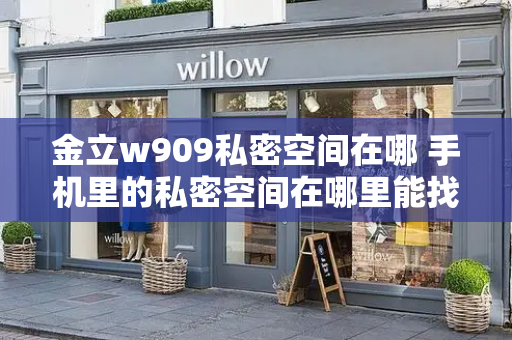 金立w909私密空间在哪 手机里的私密空间在哪里能找到