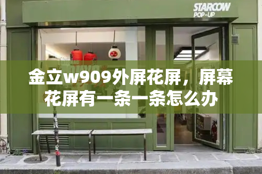 金立w909外屏花屏，屏幕花屏有一条一条怎么办-第1张图片-星选测评