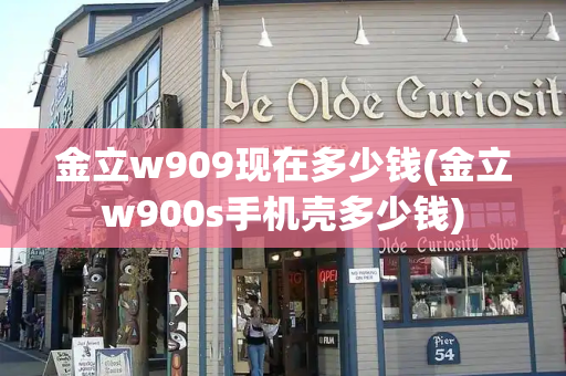 金立w909现在多少钱(金立w900s手机壳多少钱)-第1张图片-星选测评