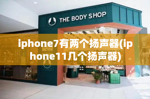 iphone7有两个扬声器(iphone11几个扬声器)