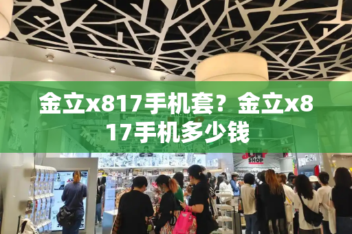 金立x817手机套？金立x817手机多少钱-第1张图片-星选测评