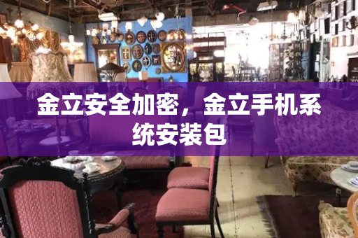 金立安全加密，金立手机系统安装包