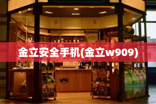 金立安全手机(金立w909)