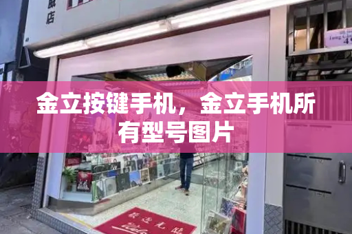 金立按键手机，金立手机所有型号图片-第1张图片-星选测评