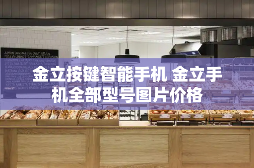 金立按键智能手机 金立手机全部型号图片价格-第1张图片-星选测评