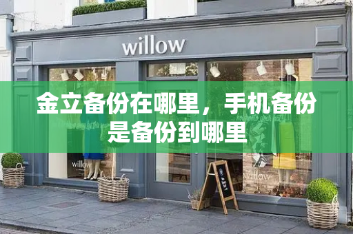 金立备份在哪里，手机备份是备份到哪里