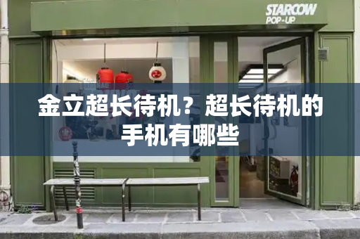 金立超长待机？超长待机的手机有哪些-第1张图片-星选测评