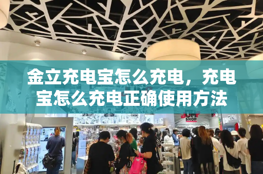 金立充电宝怎么充电，充电宝怎么充电正确使用方法