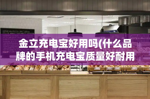 金立充电宝好用吗(什么品牌的手机充电宝质量好耐用)-第1张图片-星选测评