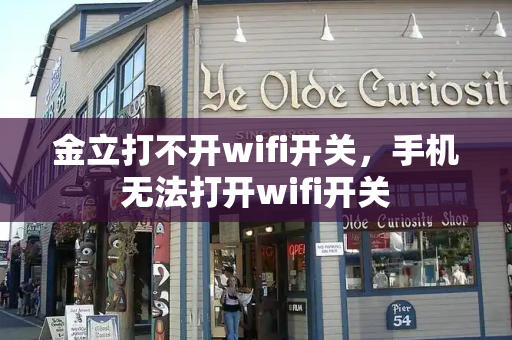 金立打不开wifi开关，手机无法打开wifi开关-第1张图片-星选测评
