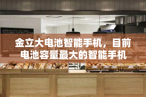 金立大电池智能手机，目前电池容量最大的智能手机-第1张图片-星选测评