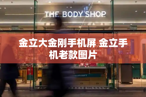 金立大金刚手机屏 金立手机老款图片