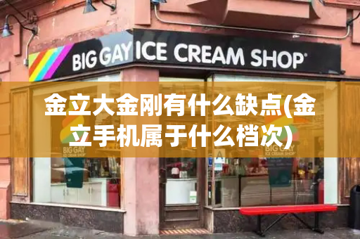 金立大金刚有什么缺点(金立手机属于什么档次)-第1张图片-星选测评