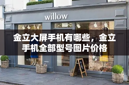 金立大屏手机有哪些，金立手机全部型号图片价格-第1张图片-星选测评