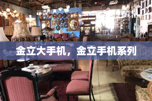 金立大手机，金立手机系列-第1张图片-星选测评