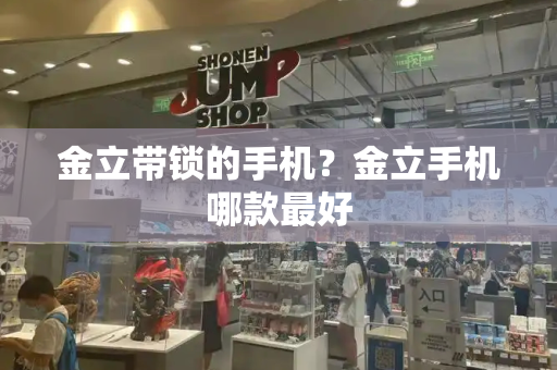金立带锁的手机？金立手机哪款最好