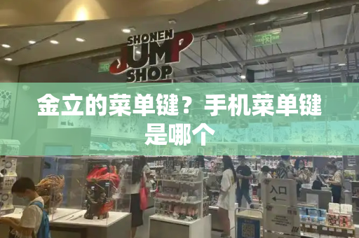 金立的菜单键？手机菜单键是哪个-第1张图片-星选测评