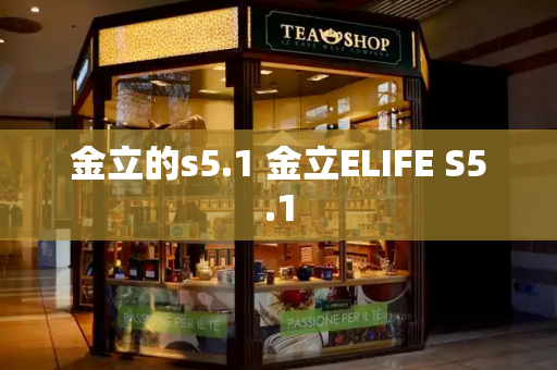 金立的s5.1 金立ELIFE S5.1