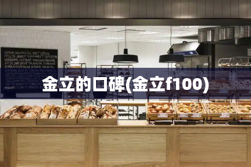 金立的口碑(金立f100)