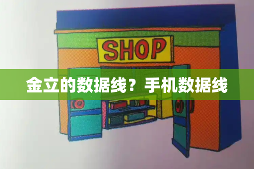 金立的数据线？手机数据线