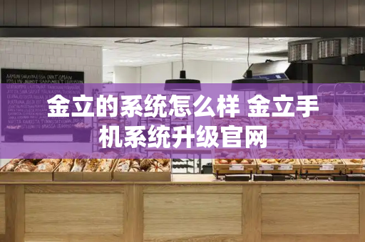 金立的系统怎么样 金立手机系统升级官网-第1张图片-星选测评