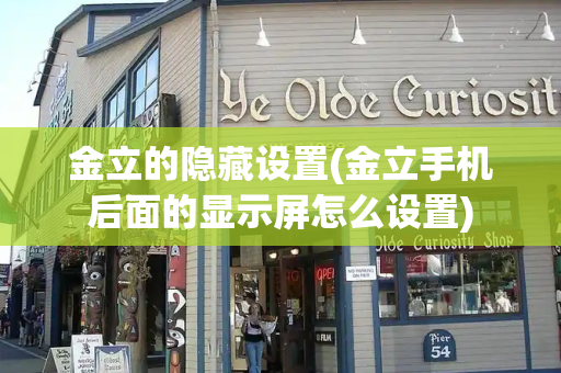 金立的隐藏设置(金立手机后面的显示屏怎么设置)-第1张图片-星选测评