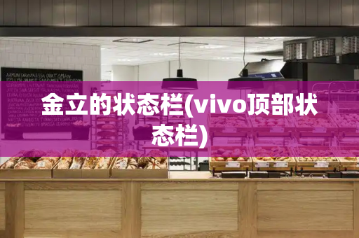 金立的状态栏(vivo顶部状态栏)