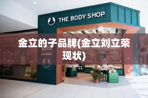 金立的子品牌(金立刘立荣现状)