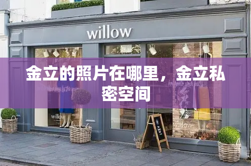 金立的照片在哪里，金立私密空间