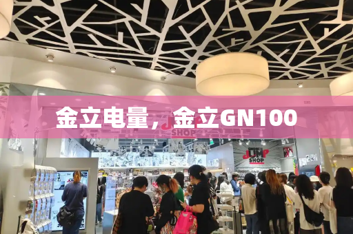 金立电量，金立GN100