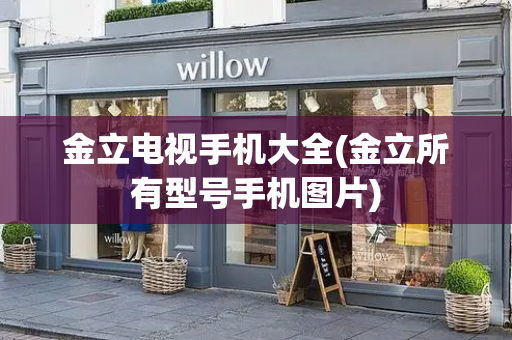 金立电视手机大全(金立所有型号手机图片)