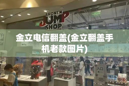 金立电信翻盖(金立翻盖手机老款图片)-第1张图片-星选测评