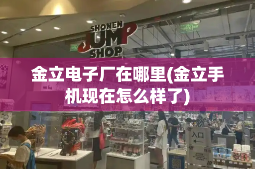 金立电子厂在哪里(金立手机现在怎么样了)