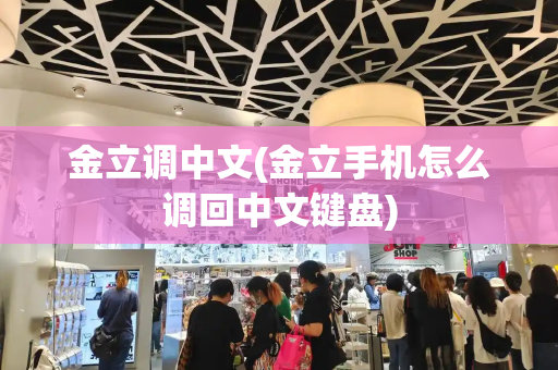 金立调中文(金立手机怎么调回中文键盘)-第1张图片-星选测评