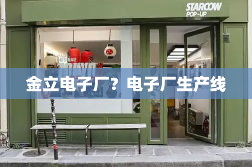 金立电子厂？电子厂生产线-第1张图片-星选测评