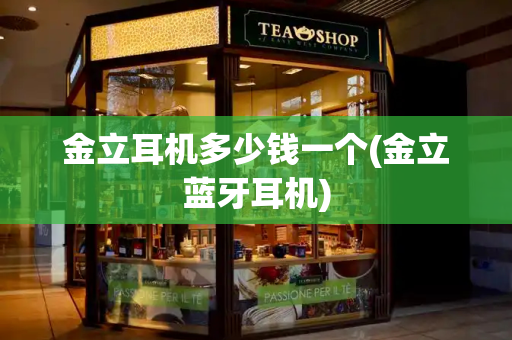 金立耳机多少钱一个(金立蓝牙耳机)