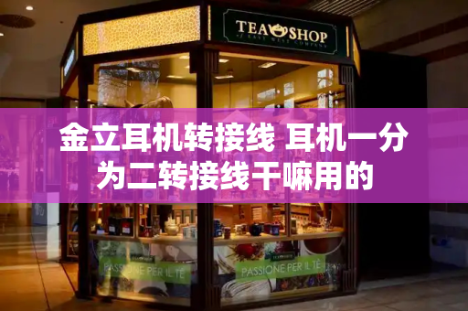 金立耳机转接线 耳机一分为二转接线干嘛用的