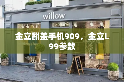 金立翻盖手机909，金立L99参数-第1张图片-星选测评