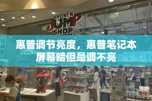 惠普调节亮度，惠普笔记本屏幕暗但是调不亮-第1张图片-星选测评