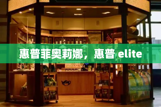 惠普菲奥莉娜，惠普 elite-第1张图片-星选测评
