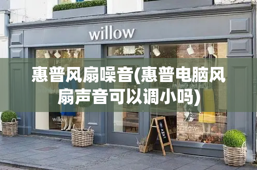 惠普风扇噪音(惠普电脑风扇声音可以调小吗)
