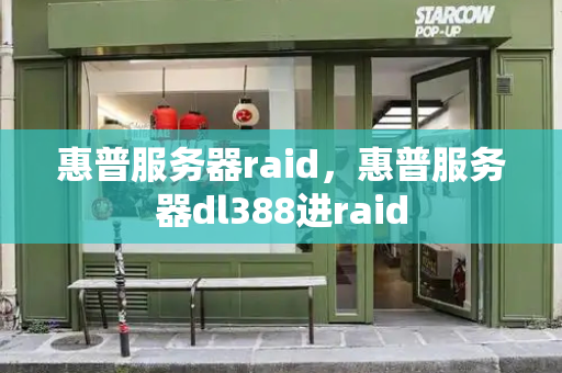 惠普服务器raid，惠普服务器dl388进raid-第1张图片-星选测评