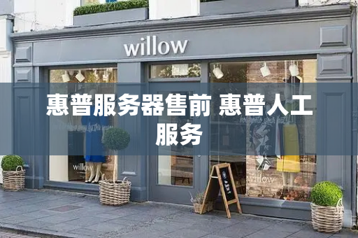 惠普服务器售前 惠普人工服务