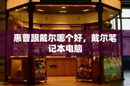 惠普跟戴尔哪个好，戴尔笔记本电脑-第1张图片-星选测评