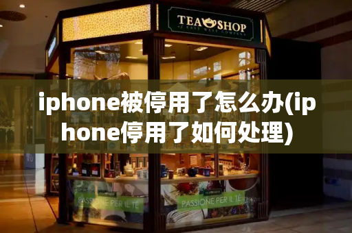 iphone被停用了怎么办(iphone停用了如何处理)