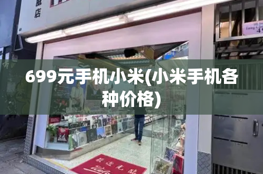 699元手机小米(小米手机各种价格)